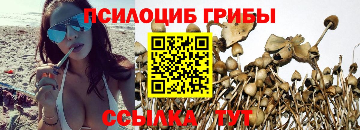 Псилоцибиновые грибы мухоморы Муравленко